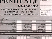 Thumbnail linking to Order form designed for Penheale Nurseries
